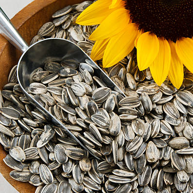 Sunflower seeds